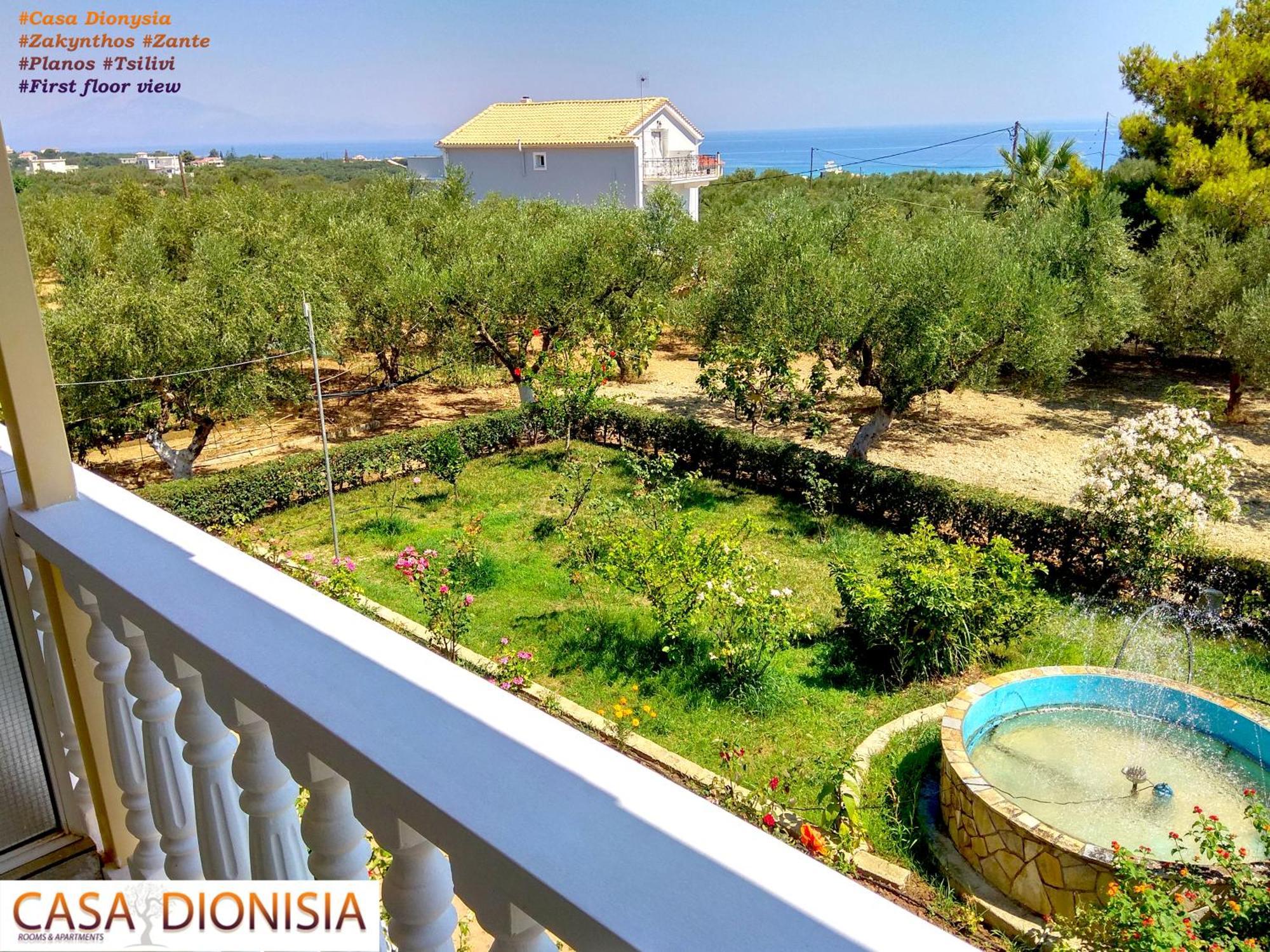 Aparthotel Casa Dyonisia Tsilivi Plános Exterior foto